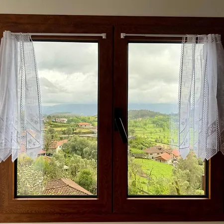 Canastro Do Carvalho *