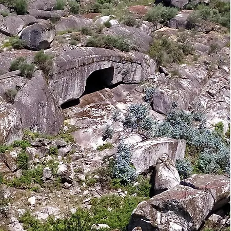 Canastro Do Carvalho * Anisso