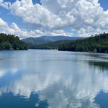 Canastro Do Carvalho Anisso