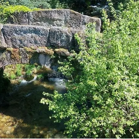 Canastro Do Carvalho