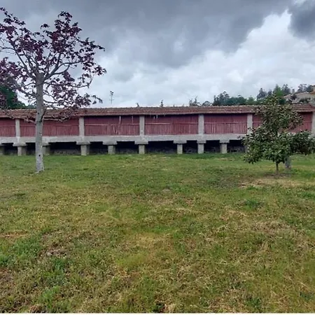 Canastro Do Carvalho *