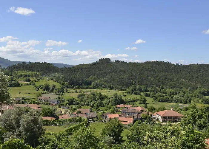 Canastro Do Carvalho *