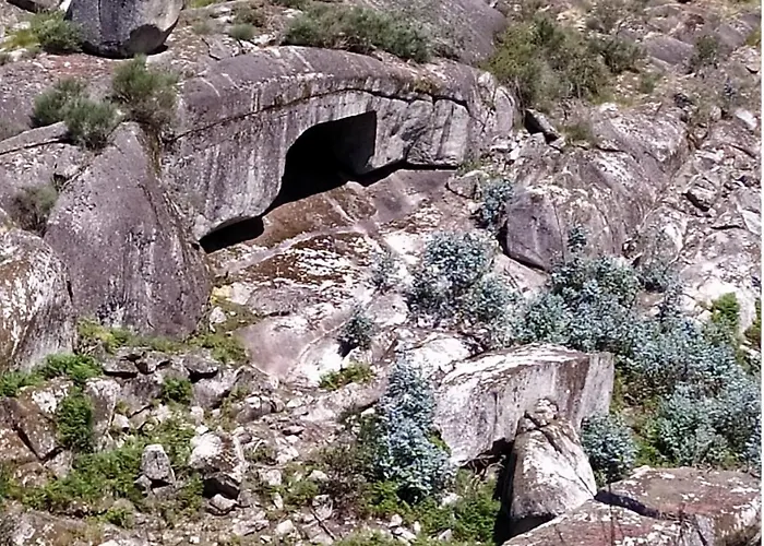 Canastro Do Carvalho * Anisso