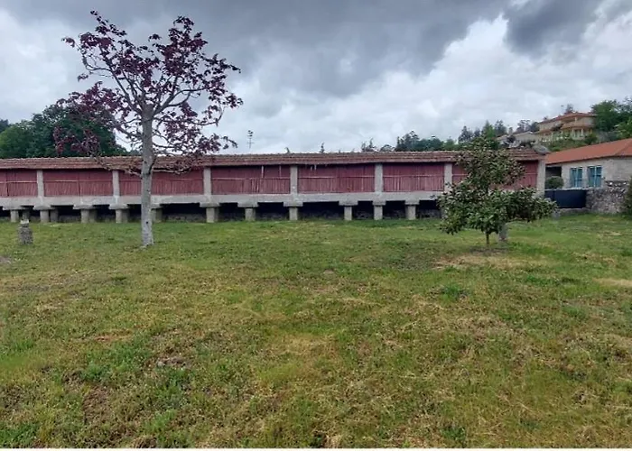 Canastro Do Carvalho *